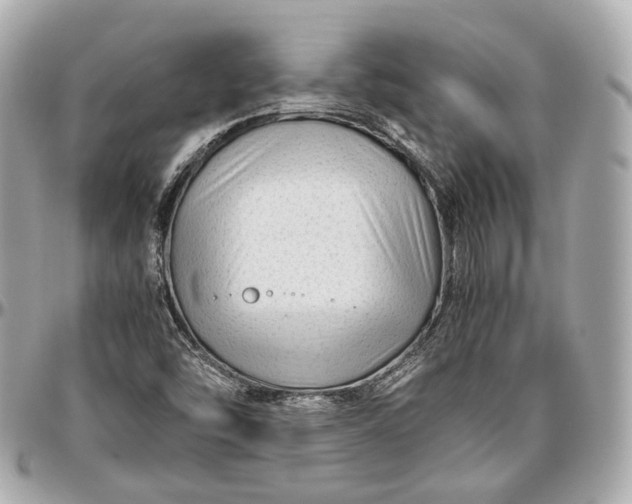 X0000096981454200802221423