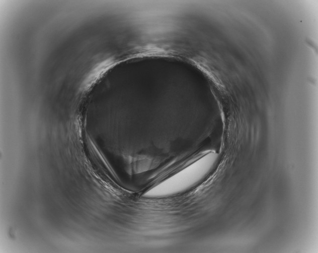 X0000096981455200802221423