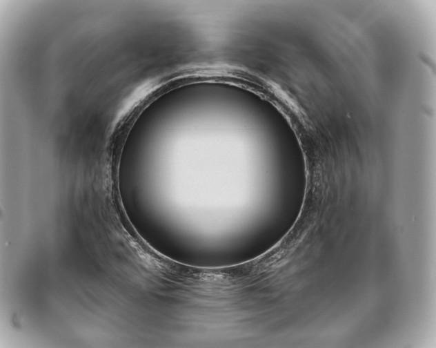 X0000096981456200802221423