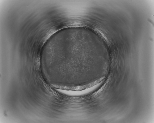 X0000096981457200802221423