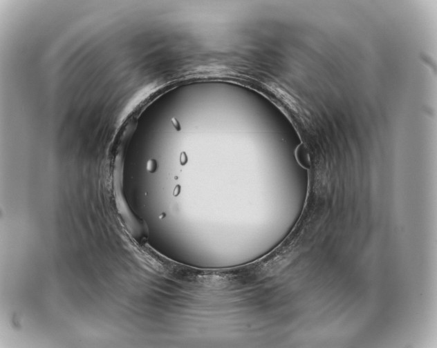 X0000096981458200802221423