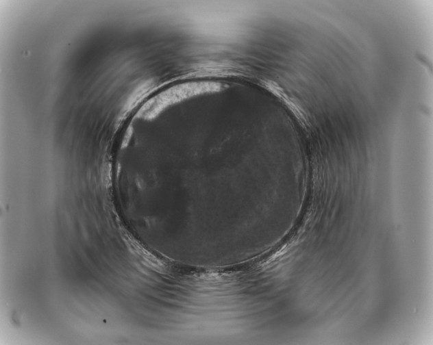 X0000096981459200802221423