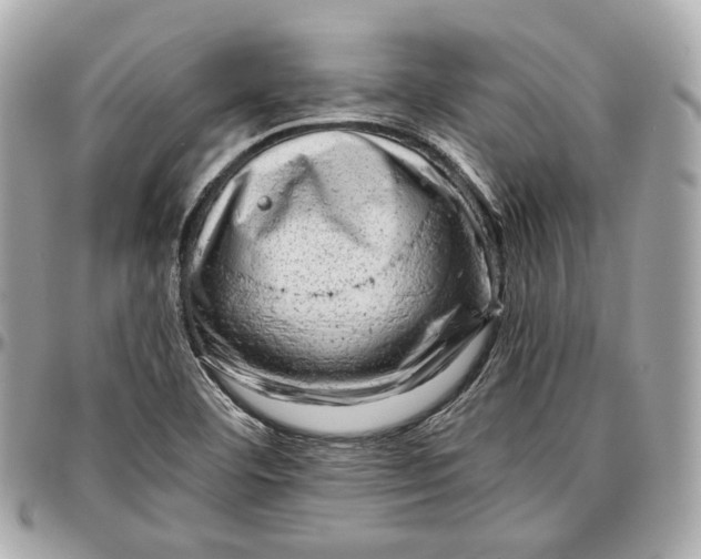 X0000096981460200802221423