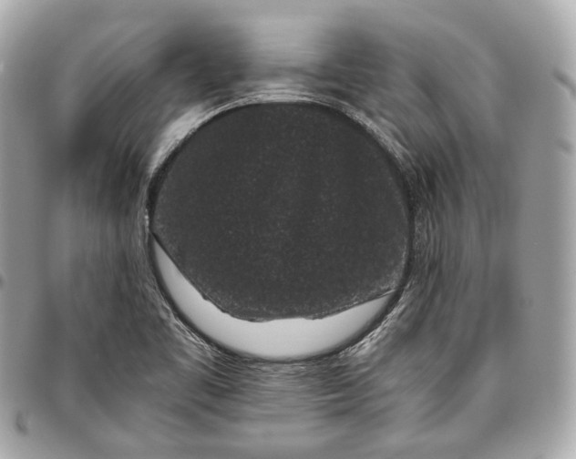 X0000096981461200802221423