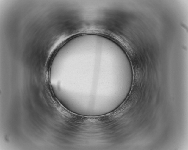 X0000096981462200802221423