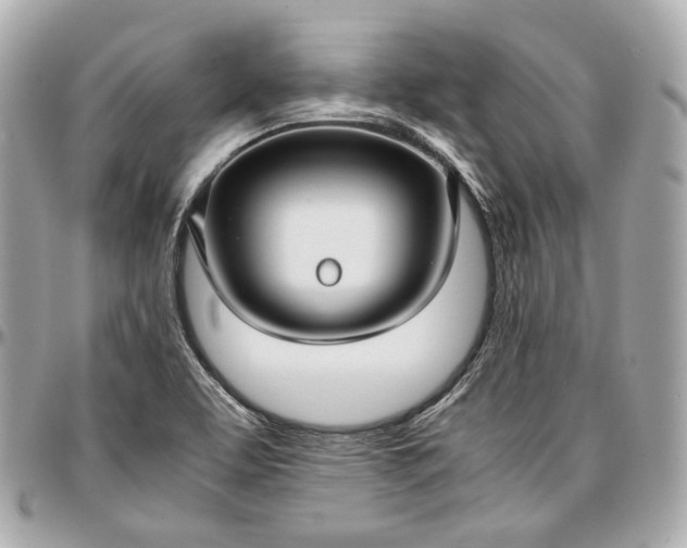 X0000096981463200802221423