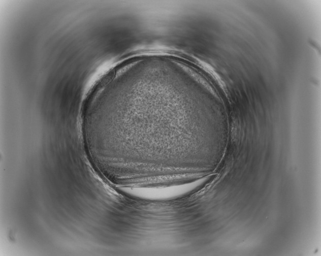 X0000096981464200802221423