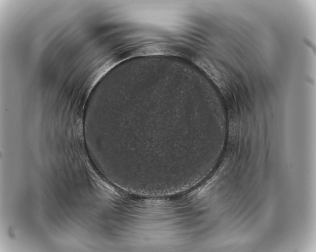 X0000096981465200802221423