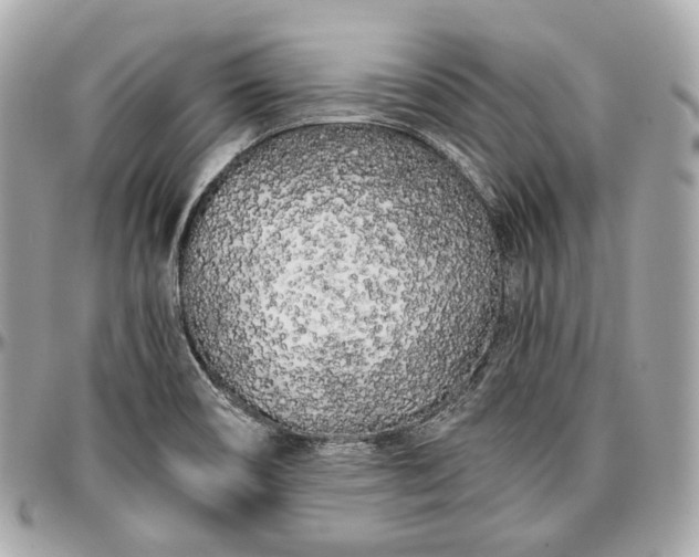 X0000096981466200802221423