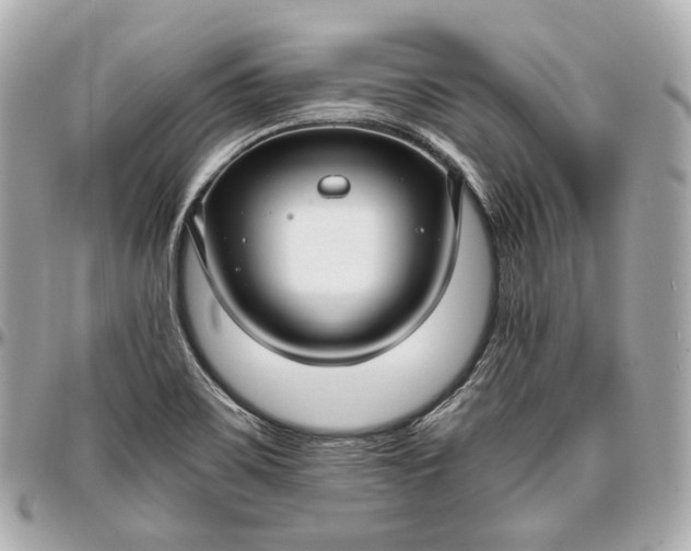 X0000096981467200802221423