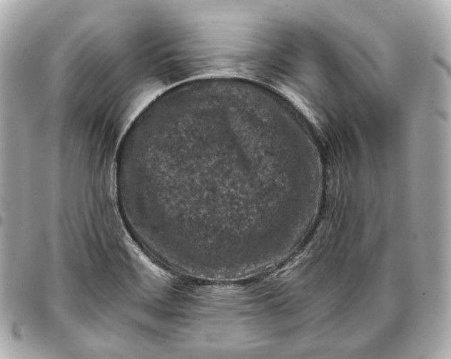 X0000096981468200802221423