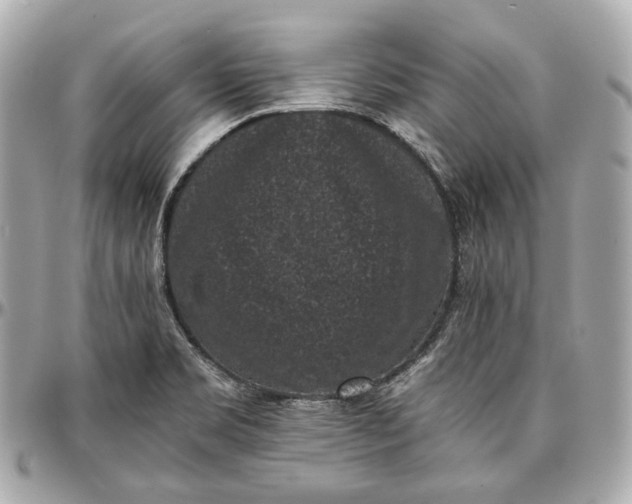 X0000096981469200802221423