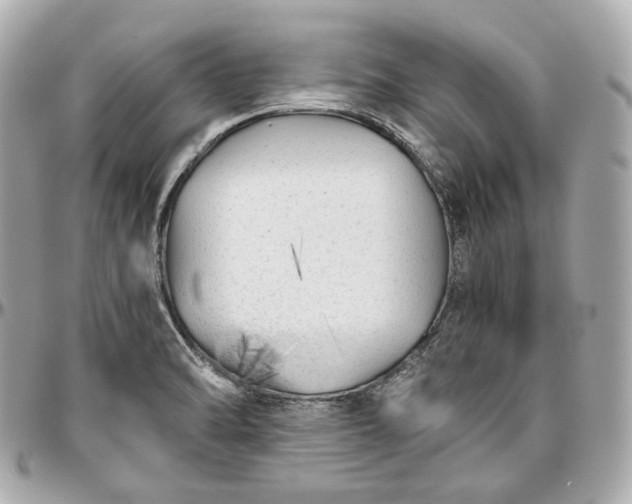 X0000096981470200802221423