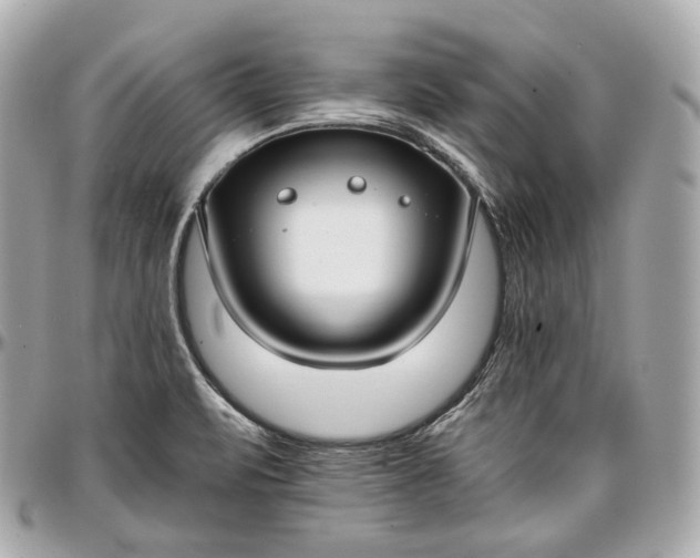 X0000096981471200802221423