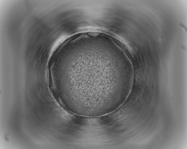 X0000096981472200802221423