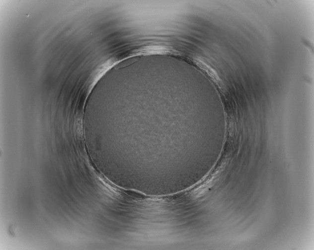 X0000096981473200802221423