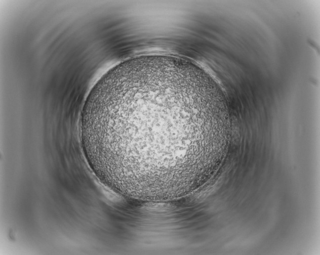 X0000096981474200802221423