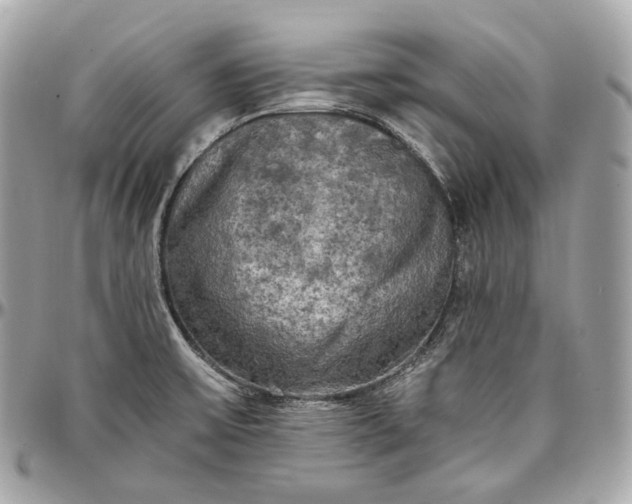 X0000096981475200802221423