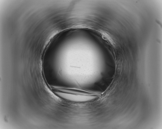 X0000096981476200802221423