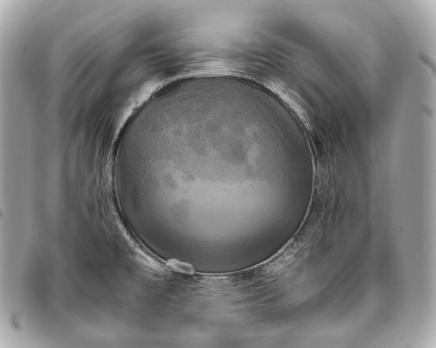 X0000096981477200802221423