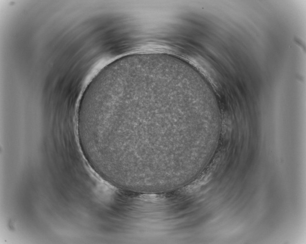 X0000096981478200802221423