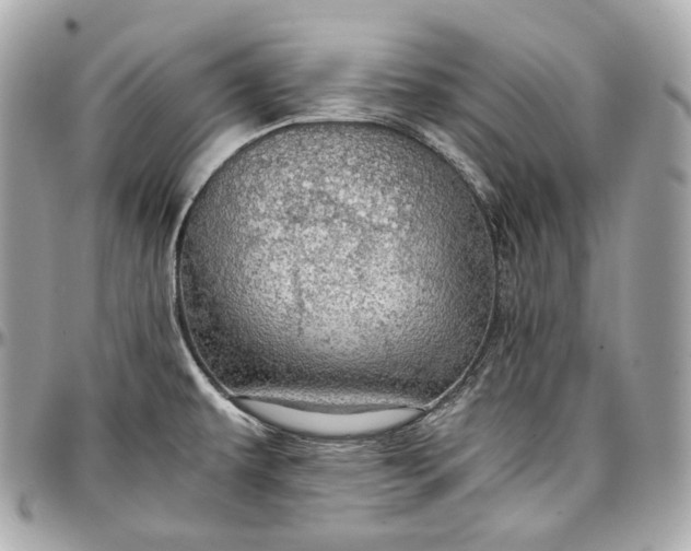 X0000096981479200802221423