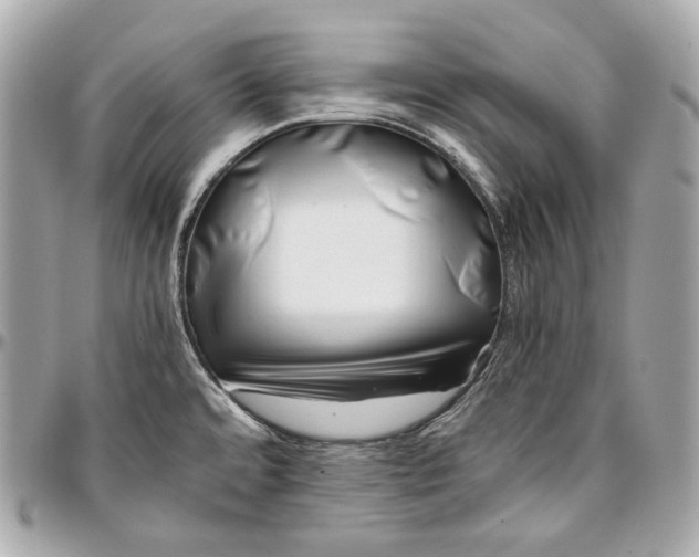 X0000096981480200802221423