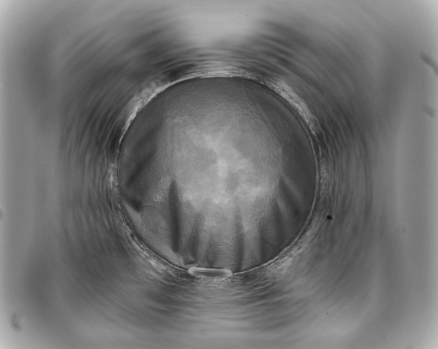 X0000096981481200802221423