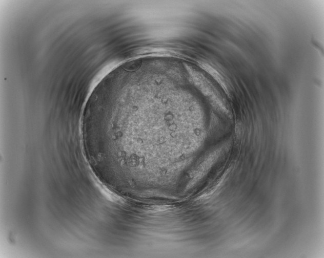 X0000096981482200802221423