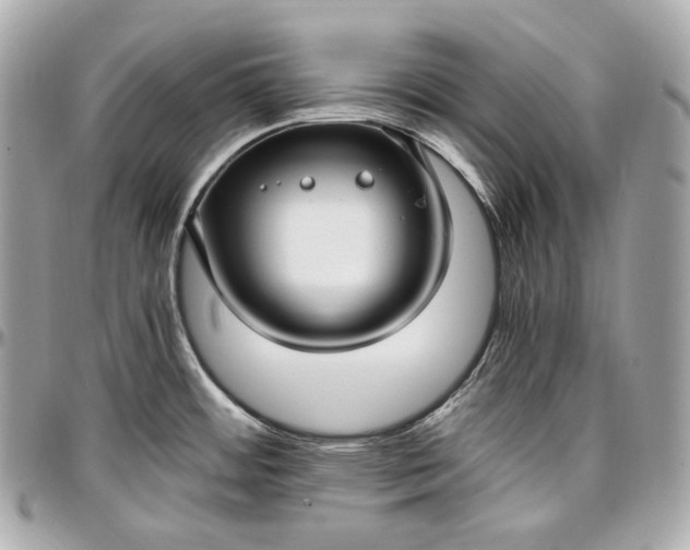 X0000096981484200802221423