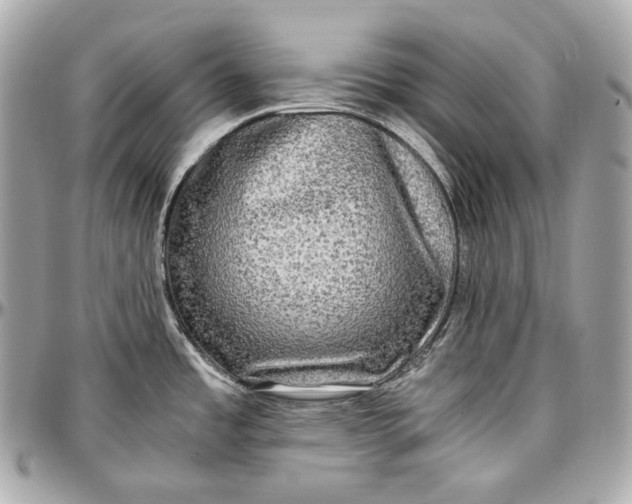 X0000096981485200802221423