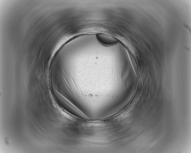 X0000096981486200802221423