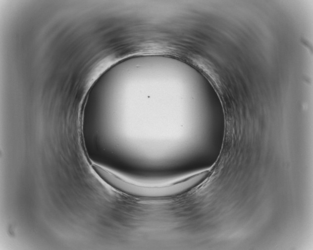 X0000096981487200802221423