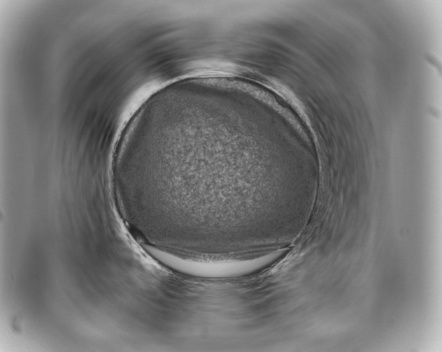 X0000096981488200802221422