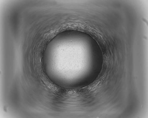 X0000096981489200802221422