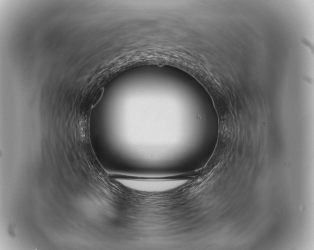 X0000096981490200802221422