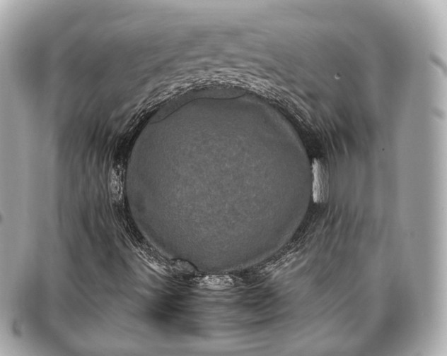 X0000096981491200802221422