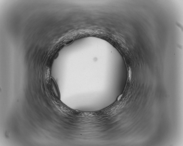 X0000096981492200802221422