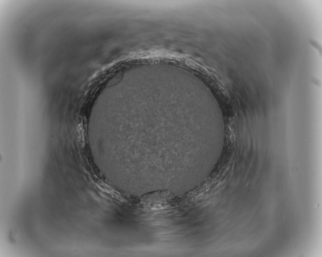 X0000096981493200802221422