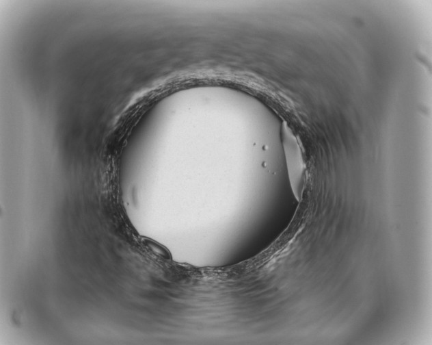 X0000096981494200802221422