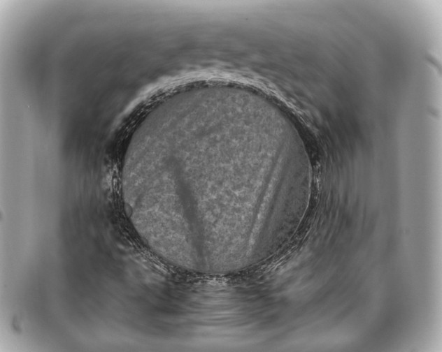 X0000096981495200802221422