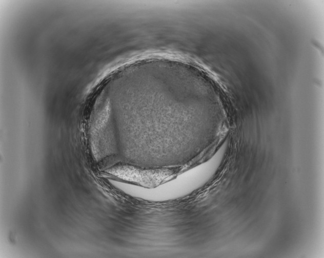 X0000096981496200802221422