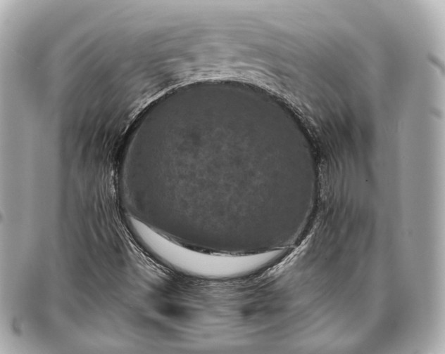 X0000096981497200802221422