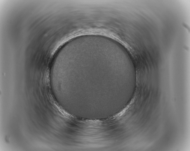 X0000096981498200802221422