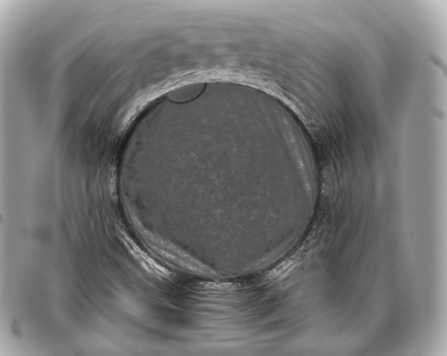 X0000096981499200802221422