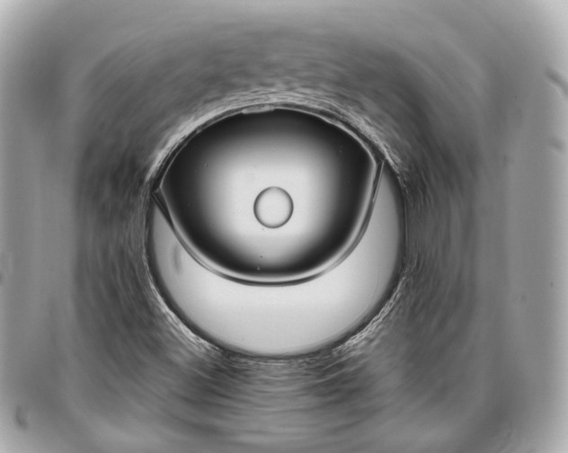 X0000096981500200802221422