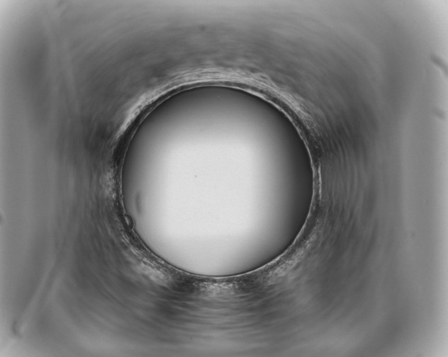 X0000096981501200802221422