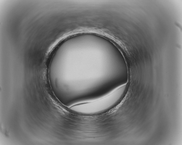 X0000096981502200802221422