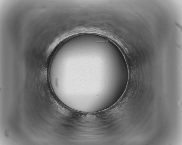 X0000096981503200802221422