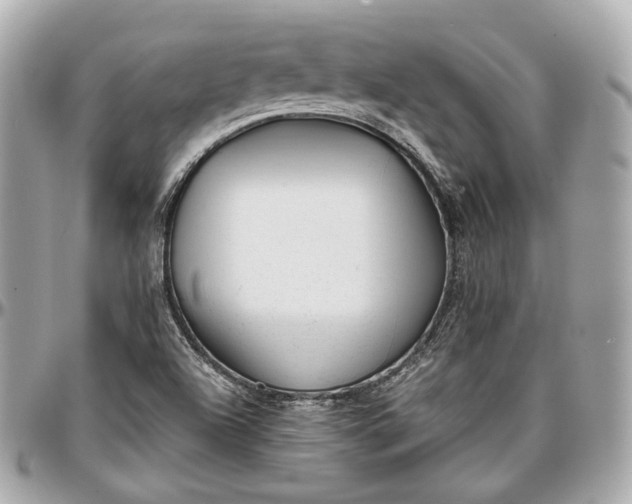 X0000096981504200802221422